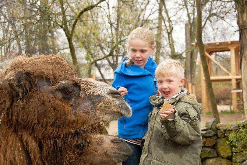 Foto: www.zoo-goerlitz.de