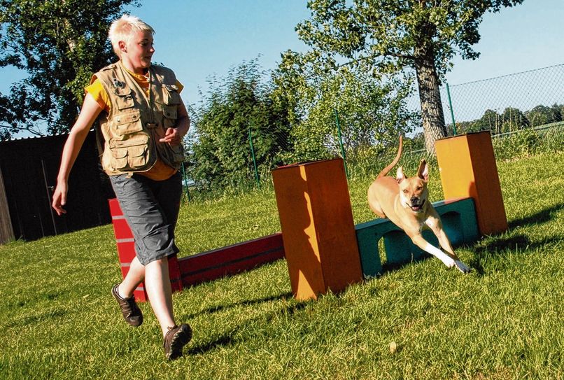 Hundesport hält Hund und Frauchen oder Herrchen fit und hat den positiven Nebeneffekt, dass Tier und Mensch zu einem Team werden. Symbolfoto: Archiv/Hache