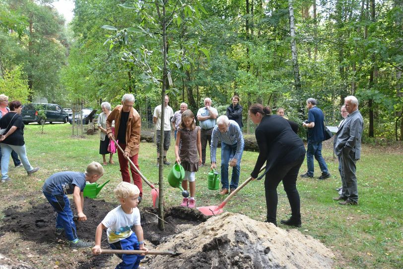 Die beiden Sieger pflanzten traditionell den Baum des Jahres 2018 - eine Esskastanie. Foto:  Detlef Bogott