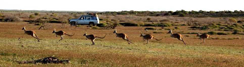 Familie Drecoll reiste auf 20000 Kilometern durch Bundesstaat Western-Australia. Fotos: PR/ Drecoll