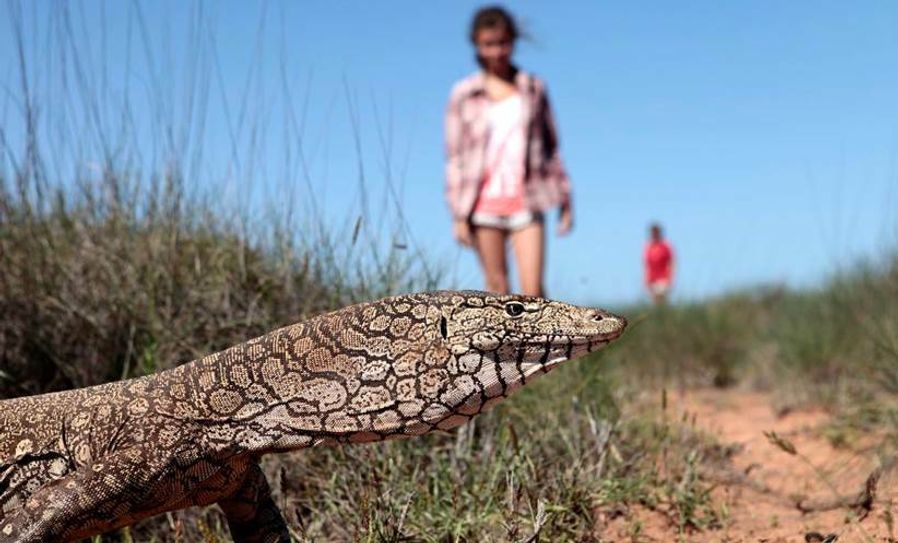 Familie Drecoll reiste auf 20000 Kilometern durch Bundesstaat Western-Australia. Fotos: PR/ Drecoll