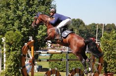 Das Reitturnier in Baschütz gilt als eins der größten in Sachsen.