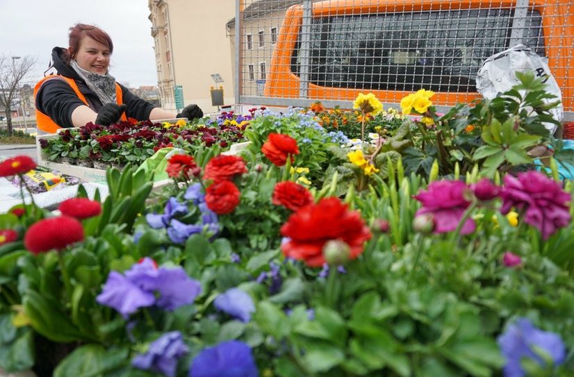 Volle Ladung Frühling - Nadin Baruth am Laster des Bauhofs