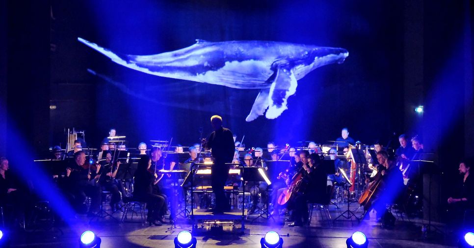 Durch den innovativen Einsatz von 3D-Hologrammen schafft die Elbland Philharmonie eine völlig neue Konzertdimension.