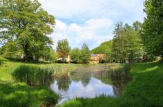 Der Dorfteich von Kleinnaundorf.