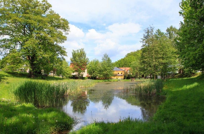 Der Dorfteich von Kleinnaundorf.