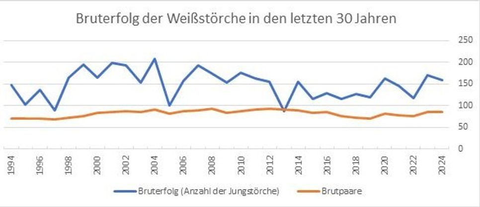 Bruterfolg der Weißstörche im Biosphärenreservat Spreewald der vergangenen 30 Jahre. Die Zahlen wurden mit freundlicher Unterstützung vieler ehrenamtlich tätiger Ornithologen mehrerer NABU-Gruppen ermittelt.