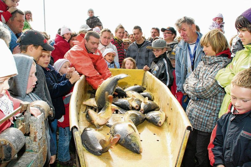 Gehört auch in diesem Jahr wieder zum Programm der Lausitzer Fischwochen: Das Fischerfest am Großteich Deutschbaselitz wartet am 3. Oktober von 10 Uhr bis 16 Uhr auf Besucher. Foto: Archiv/ sts