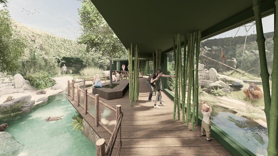 Visualisierung: Links die Otteranlage, rechts das neue Zuhause für die Menschenaffen Visu: Heinle Wischer und Partner