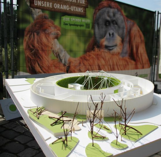 Modell des neuen Orang Utan-Hauses