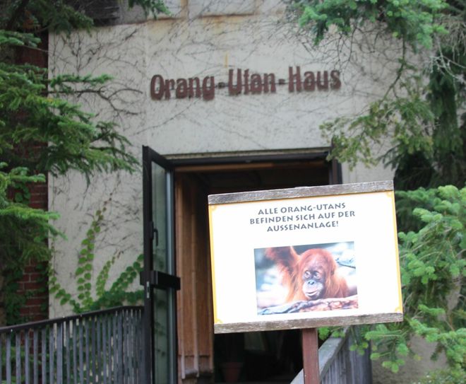 Das alte Haus ist seit 35 Jahren eine Interimslösung