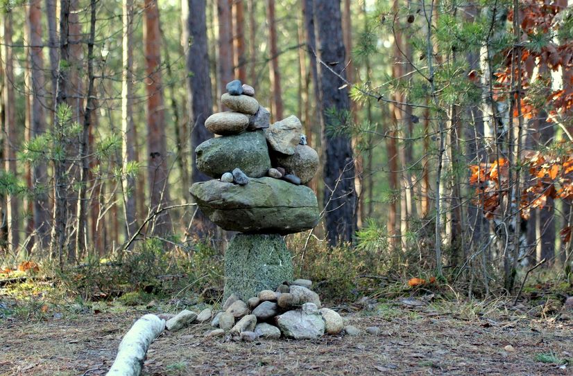 Wegesrand-Begleiter wie Gesteine, Bäume, Moose und Flechten offenbaren auch im Winter Interessantes, lassen den
Betrachter staunen und Altbekanntes aus einem anderen Blickwinkel betrachten.