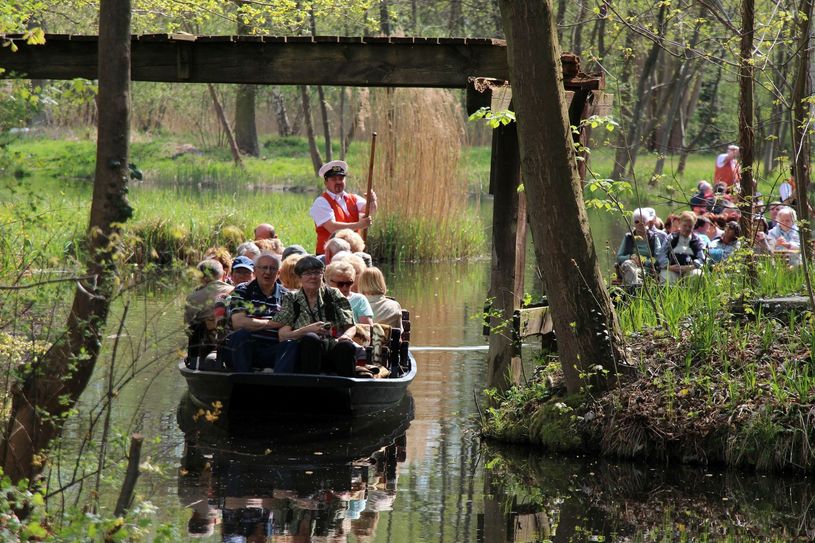 Kahnfahrten im Spreewald. Die Attraktivität des Spreewalds zeigt sich vor allem auch im Tourismusbereich. Zur Entwicklung des Spreewalds als Natur- und Erholungsraum wird die Landesregierung eine ressortübergreifende Arbeitsgruppe bilden. Foto: Archiv/sts