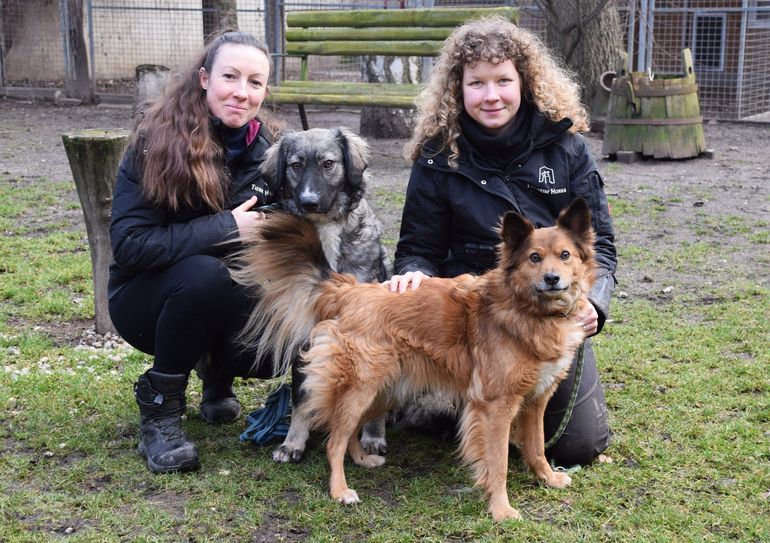 Aimee Zille (links) mit Bonny aus dem illegalen Tiertransport und Mitarbeiterin Jenny Herkert mit Watson, dem Hund aus dem Kriegsgebiet.
