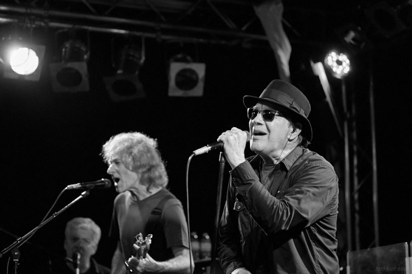 Engerling Blues Band. Foto: FF