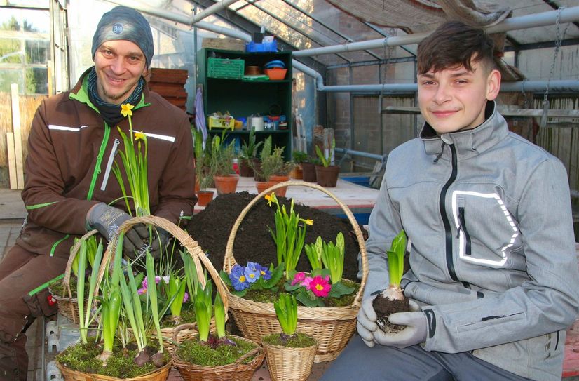 Gärtner Gottfried Wünsche und Projektteilnehmer Stanley Pagels bereiten seit Tagen die bunten Frühlingsblumen vor.