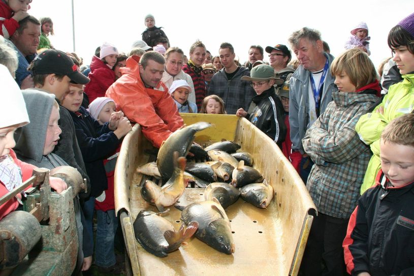 ...und bei den Fischerfesten von Jung und Alt bestaunt. Foto: sts
