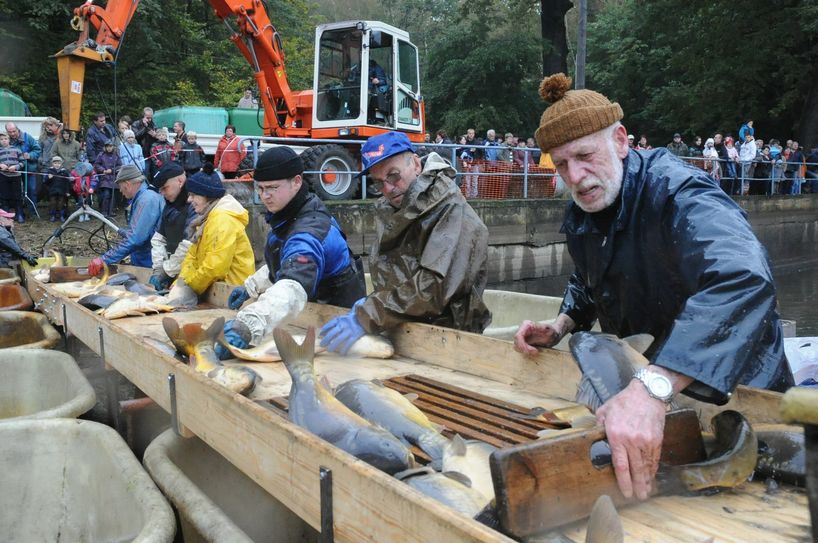 Fischernte: Alles in Handarbeit... Foto: ru