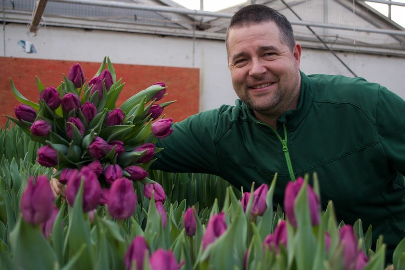 Alexander Bernhardt mit seinen jungen Tulpenknospen. Foto: Privat