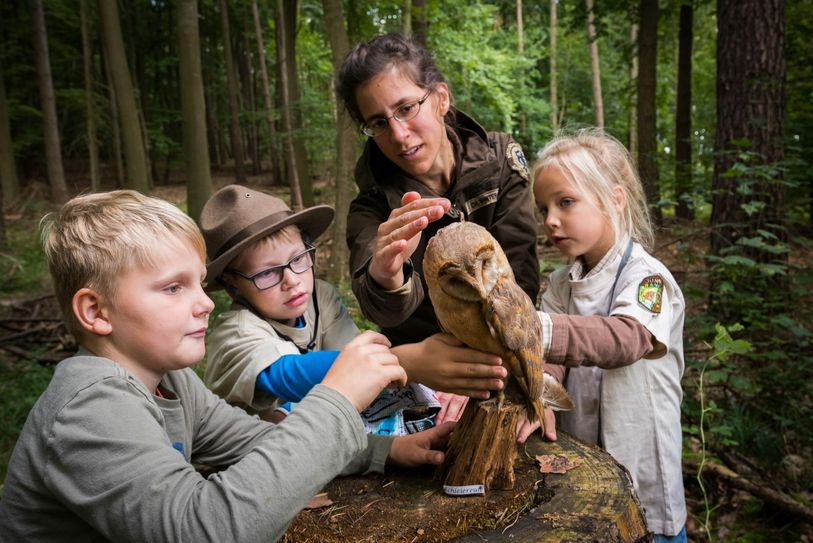Die Naturwacht Brandenburg, die seit 1997 zur Landesstiftung gehört, sensibilisiert auch schon die junge Generation. Im Rahmen des Junior-Ranger-Programms sowie ihrer Arbeit mit Kita- und Schulgruppen weckt die Naturwacht Interesse für Natur- und Umweltschutz. Foto: Sebastian Hennigs