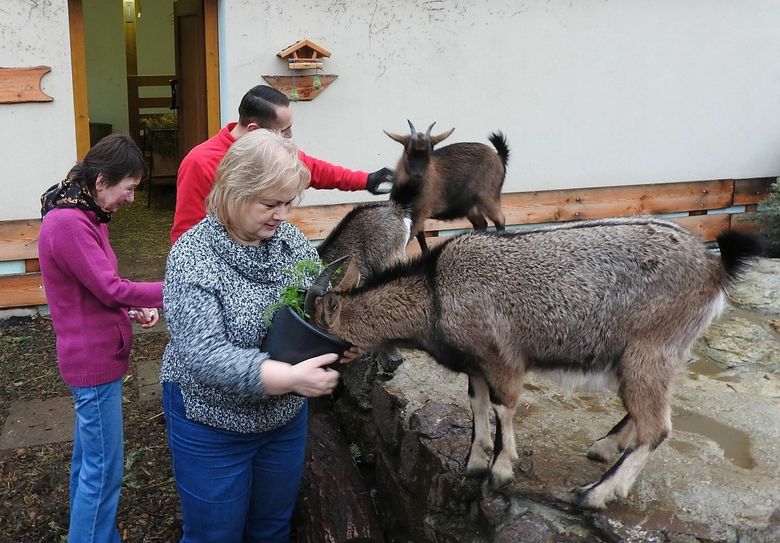 Christa Hanisch (li., pinker Pullover) ist seit Herbst ehrenamtlich im "Zoo-Team" dabei