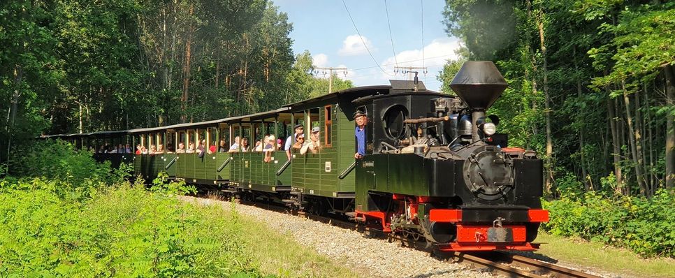 Saisonstart bei der Waldeisenbahn: Vom 15. bis 18. April sind beim Osterdampf wieder ab 9 Uhr Personenzüge mit historischen Dampfloks von Weißwasser aus in die Landschaftsparks von Kromlau und Bad Muskau unterwegs.