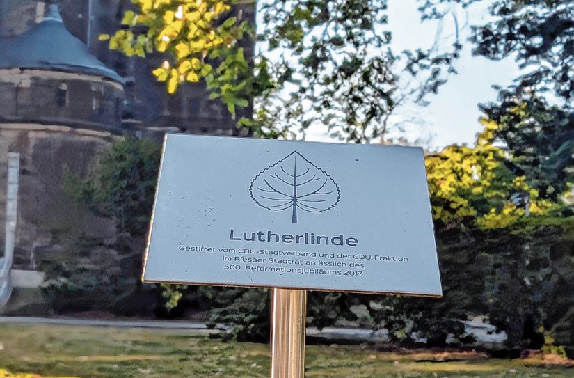 Platz der Lutherlinde vor der Trinitatiskirche ist jetzt leer.  Nur das Stiftungsschild des früheren Baumes ist noch zu sehen.