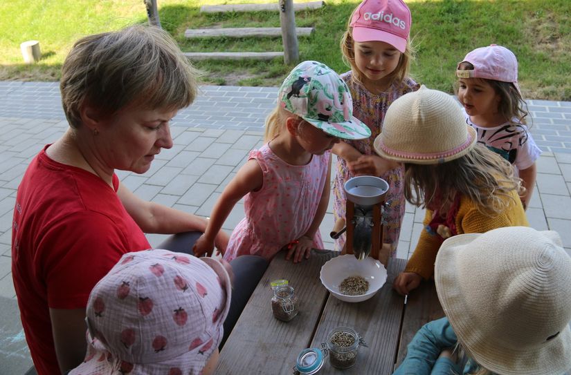 In den »normalen« Tagesablauf der Kita werden verschiedene Aktivitäten rund um das Thema gesunde Ernährung integriert. Mit Frau Stephan haben die Kinder hier zum Beispiel selbst Korn gemahlen, das sie im Anschluss für die Herstellung von Knäckebrot verwendet haben.