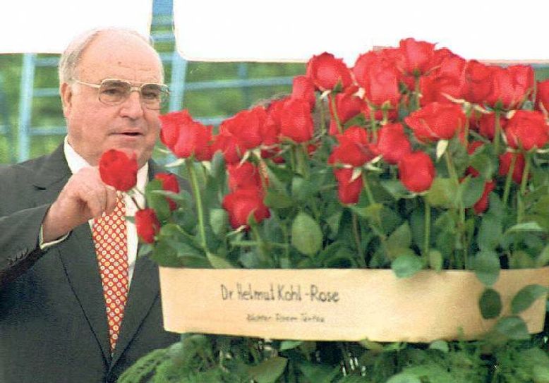 Alt-Bundeskanzler Dr. Helmut Kohl tauft bei der BUGA 1995 in Cottbus die Edelrose auf seinen Namen. Foto: dpa