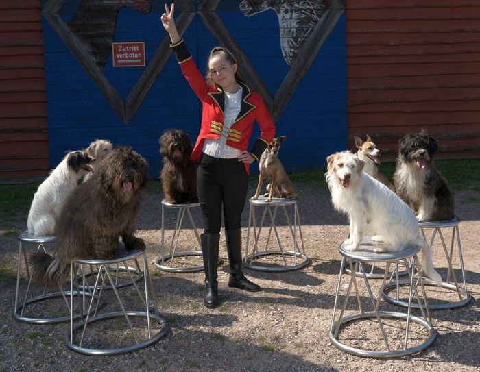 Alexa Lauenburger ist mit 13 Jahren die jüngeste Mitwirkene, sie gewann 2017 mit neun Jahren den TV-Wettbewerb "Das Supertalent" und landete auch bei "Britain's Got Talent" und "American's Got Talent" in den Finalshows. Alle Fotos: DWC
