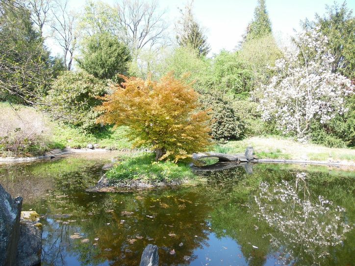 Auch dieser wunderschöne Teich gehört zum großzügigen Schlossparkareal.  Foto: Wo