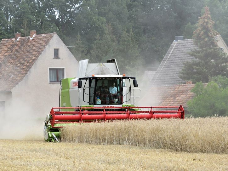 Der sächsische Landwirtschaftsminister Wolfram Günther ergriff gern die Gelegenheit und hatte sichtlich Spaß beim Fahren und Lenken eines Mähdreschers. Das löst zwar nicht die Probleme aber ein bisschen Freude bei der Arbeit darf natürlich sein.