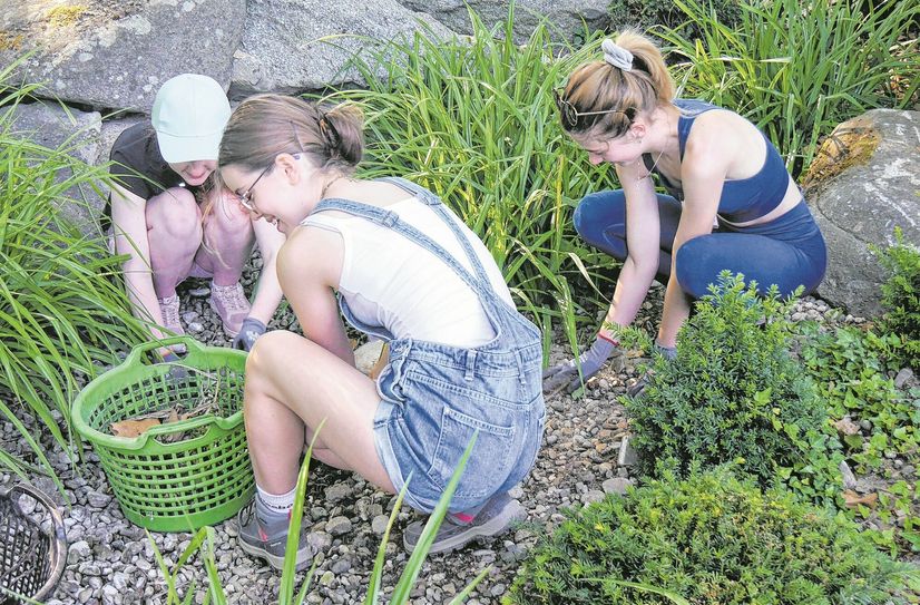 Riesaer Azubis arbeiten am »Garten der Partnerstädte« in Mannheim mit.