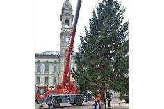 Die Logistik hat wieder super funktioniert: Der diesjährige Weihnachtsbaum - eine Rotfichte - stammt von der Radeburger Straße und kam standesgemäß per Tieflader auf den Hauptmarkt.