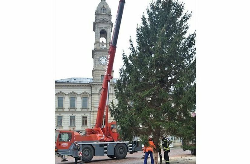 Die Logistik hat wieder super funktioniert: Der diesjährige Weihnachtsbaum - eine Rotfichte - stammt von der Radeburger Straße und kam standesgemäß per Tieflader auf den Hauptmarkt.