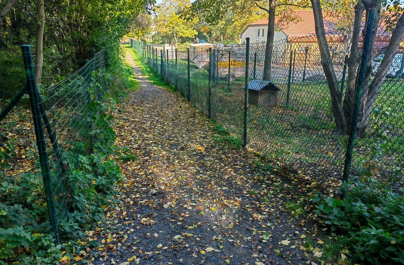 Dieser Weg führt am Tierheim entlang, das ebenfalls Flächen abgeben soll. Hier soll eine Straße hin.