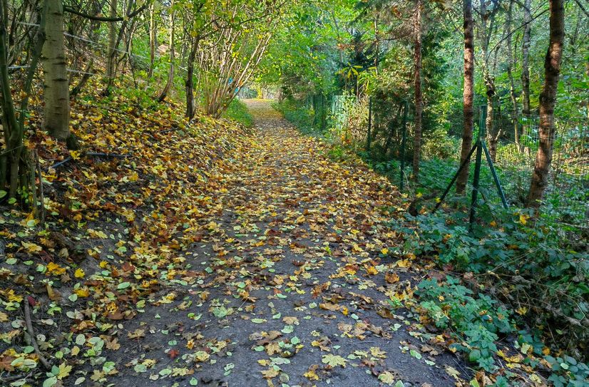 ... auch hier soll die neue Straße entlangführen, zwischen Landschaftsschutzgebiet und Tierfriedhof.