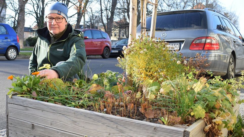 Im letzten Jahr konnten einige Baumscheiben in der Stadt bepflanzt werden und so das Stadtbild nachhaltig verschönern.