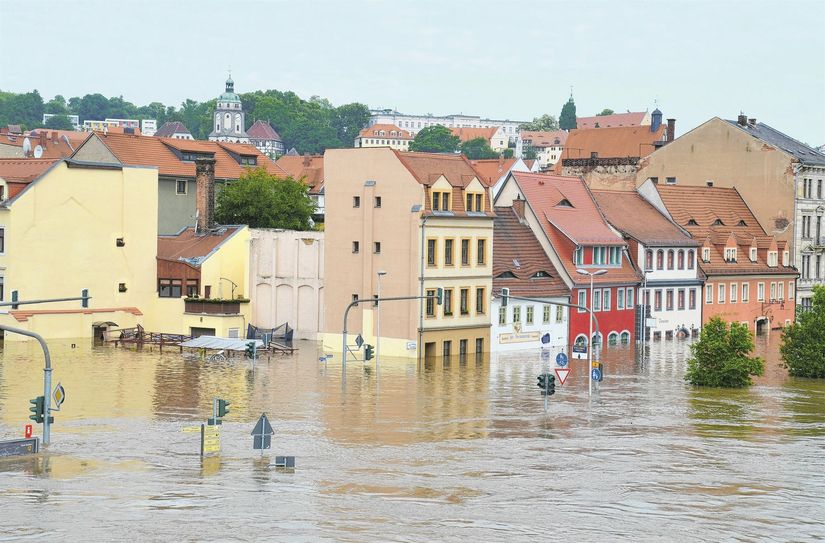 Das Hochwasser in Meißen vor 20 Jahren hat große Teile der Innenstadt geflutet. Jetzt folgt der Aufruf an betroffene Hausbesitzer, ihre Erinnerungen an 2002 zu zeigen.