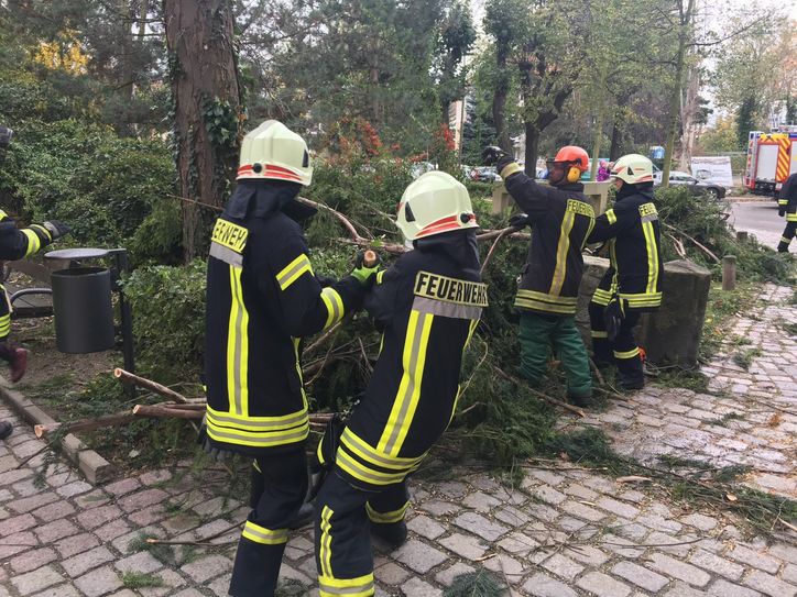 Im Klosterhof mitten in der Pirnaer Innenstadt gleich neben der Stadtbibliothek musste die Feuerwehr große abgebrochene oder herabhängende Äste beseitigen.  Fotos: M. Förster