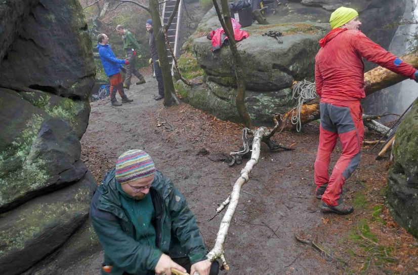 Die AG Horstschutz mit Teilnehmern des Deutschen Alpenvereins, des Sächsischen Bergsteigerbundes und der Nationalparkverwaltung, verbaute bei einem Arbeitseinsatz Mitte Februar auf dem Pfaffenstein die Zugänge zu drei Felskanten abseits des Wanderwegs mit natürlichen Barrieren aus Totholz und brachte Absperrseile mit entsprechenden Hinweisschildern an.