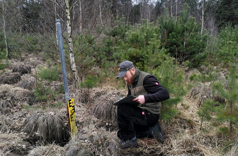 FÖJ-Teilnehmer bei der Moorpegelmessung im Wildnisgebiet.