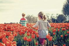 Start in den Frühling in Lenz: Der "Lenzer Frühling".