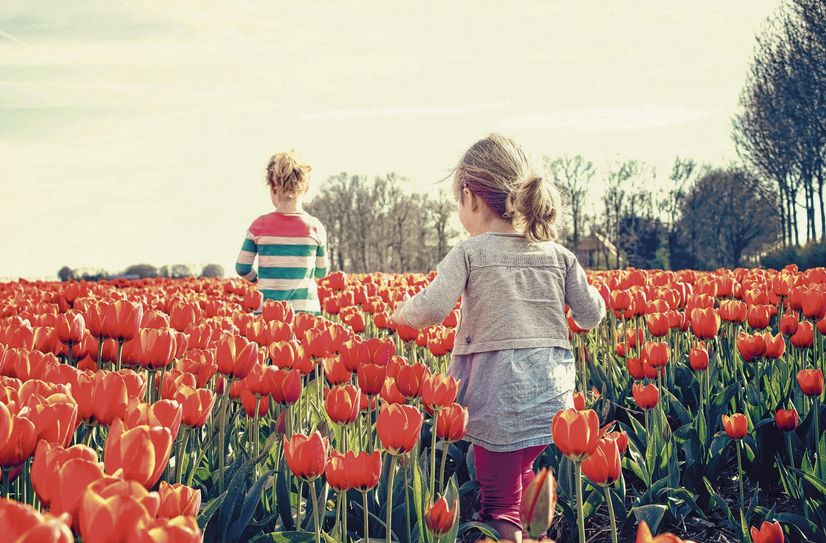 Start in den Frühling in Lenz: Der "Lenzer Frühling".