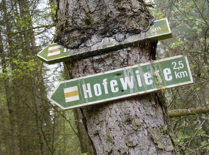Foto: PR / Hofewiese