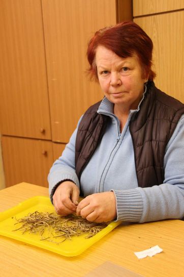 Angelika Smoger bereitet die Aussaat für den Frühjahr vor. Foto: jho