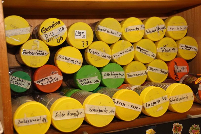 Eine umfangreiche Auswahl an verschiedenen Kräutern, Tees und Pflanzen beherbergt das Archiv des Kräutergartens. Auch dieses ist von Burg nach Dissen gezogen. Foto: jho