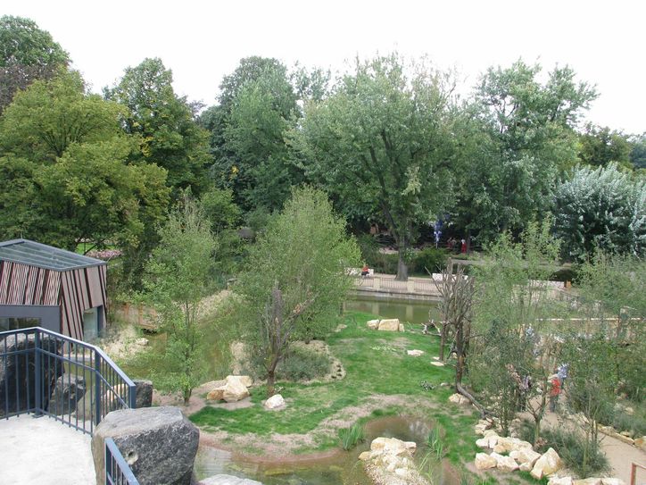 Das Außengehege der Kattas im Zoo wird bis zum Frühjahr neu gestaltet. Foto: Zoo Dresden