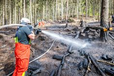 Die Feuerwehr bei Löscharbeiten des Waldbrandes bei Hohnstein (2. April).