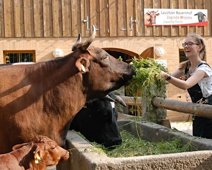 Gäste der Pandahöhle dürfen die Tierpfleger auf der Futterrunde begleiten.  Foto: www.zoo-goerlitz.de